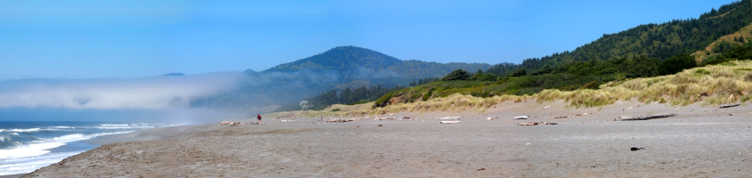 [A panoramic view comprised of several photos stitched together with white-capped waves on the left and a huge expanse of sand on the right. The sand is backed by green hillsides and a small mountain in the distance. Fog sits in the distance above the water and leading into the small mountain in the distance.]